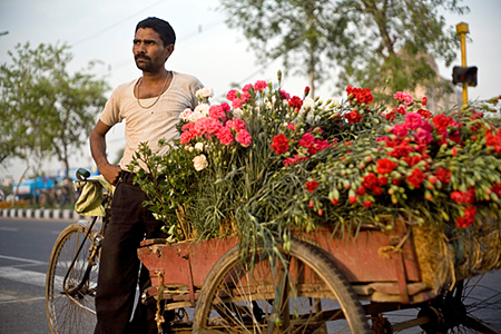 India - New Delhi - A 'phool wallah' (or flower seller) delivering flowers on tricycle, Mehrauli